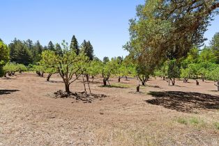 Single Family Residence,  Fiori lane, Sebastopol, CA 95472 - 50