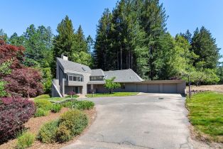 Single Family Residence,  Fiori lane, Sebastopol, CA 95472 - 2