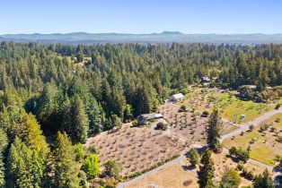 Single Family Residence,  Fiori lane, Sebastopol, CA 95472 - 52