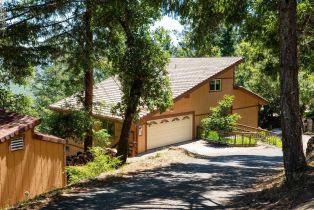 Single Family Residence,  Crestmont drive, Angwin, CA 94508 - 7