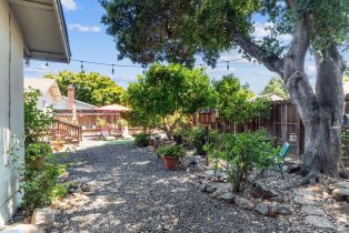 Single Family Residence,  Pueblo avenue, Napa, CA 94558 - 29