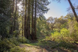 Single Family Residence,  Dutcher Creek road, Cloverdale, CA 95425 - 6