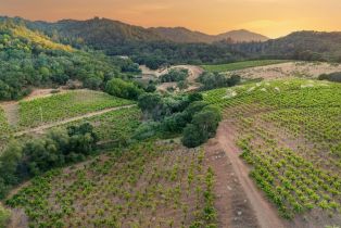 Single Family Residence,  Dutcher Creek road, Cloverdale, CA 95425 - 37