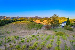 Single Family Residence,  Dutcher Creek road, Cloverdale, CA 95425 - 26