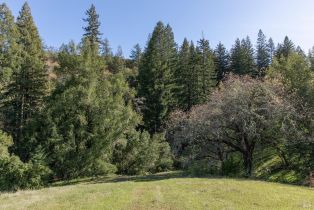 Single Family Residence,  Dutcher Creek road, Cloverdale, CA 95425 - 5