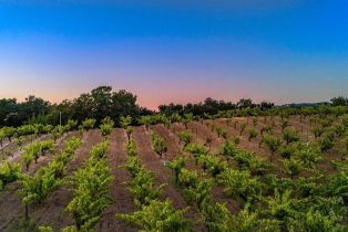 Single Family Residence,  Dutcher Creek road, Cloverdale, CA 95425 - 44