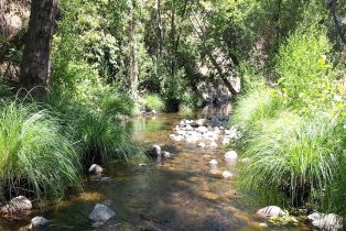 Single Family Residence,  Dry Creek road, Napa, CA 94558 - 50