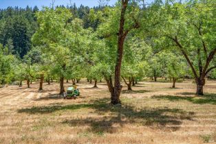 Single Family Residence,  Dry Creek road, Napa, CA 94558 - 51