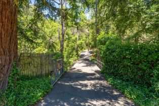 Single Family Residence,  Dry Creek road, Napa, CA 94558 - 61