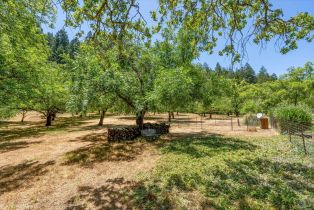 Single Family Residence,  Dry Creek road, Napa, CA 94558 - 45