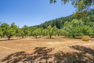 Single Family Residence,  Dry Creek road, Napa, CA 94558 - 3