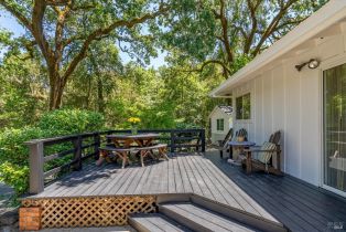 Single Family Residence,  Dry Creek road, Napa, CA 94558 - 38