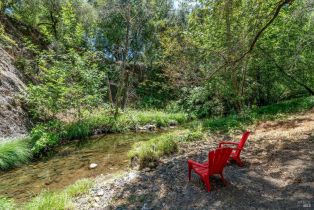 Single Family Residence,  Dry Creek road, Napa, CA 94558 - 48