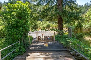 Single Family Residence,  Dry Creek road, Napa, CA 94558 - 63