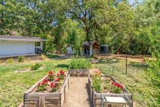 Single Family Residence,  Dry Creek road, Napa, CA 94558 - 47