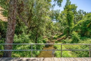 Single Family Residence,  Dry Creek road, Napa, CA 94558 - 53