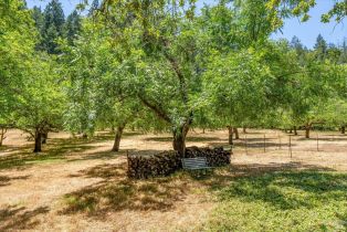 Single Family Residence,  Dry Creek road, Napa, CA 94558 - 42