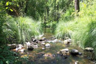 Single Family Residence,  Dry Creek road, Napa, CA 94558 - 65