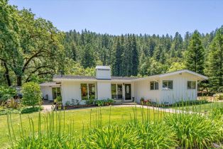 Single Family Residence,  Dry Creek road, Napa, CA 94558 - 49