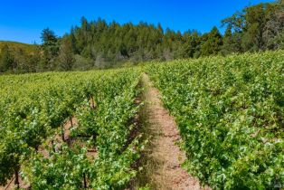 Single Family Residence,  Foothill boulevard, Calistoga, CA 94515 - 23