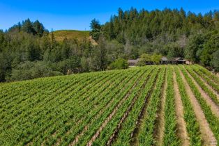 Single Family Residence,  Foothill boulevard, Calistoga, CA 94515 - 2