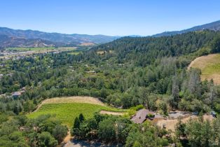 Single Family Residence,  Foothill boulevard, Calistoga, CA 94515 - 27