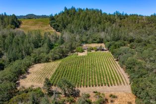 Single Family Residence,  Foothill boulevard, Calistoga, CA 94515 - 21