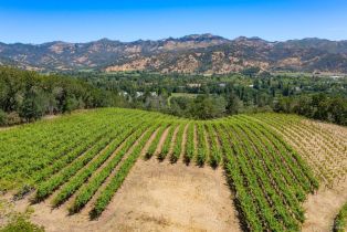 Single Family Residence,  Foothill boulevard, Calistoga, CA 94515 - 20