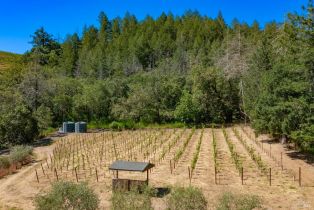 Single Family Residence,  Foothill boulevard, Calistoga, CA 94515 - 28