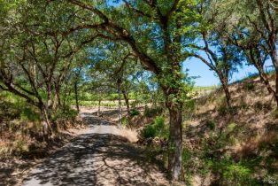 Single Family Residence,  Foothill boulevard, Calistoga, CA 94515 - 31