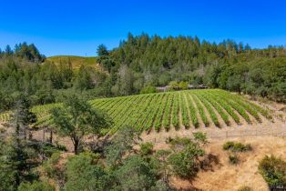 Single Family Residence,  Foothill boulevard, Calistoga, CA 94515 - 22