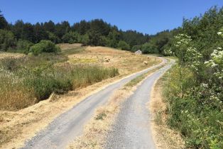 Residential Acreage,  Marika drive, Occidental, CA 95465 - 4