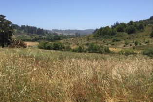 Land, 1345 Marika Dr, Occidental, CA  Occidental, CA 95465