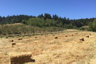 Residential Acreage,  Marika drive, Occidental, CA 95465 - 2