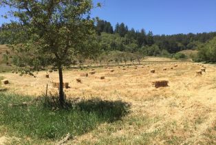 Residential Acreage,  Marika drive, Occidental, CA 95465 - 3