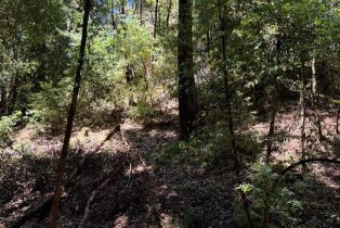 Land, 11720 Canyon Dr, Russian River, CA  Russian River, CA 95446