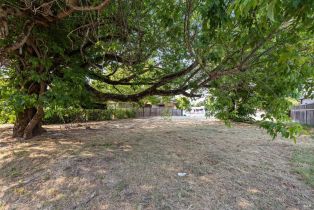 Commercial Lot,  Lakeville street, Petaluma, CA 94952 - 8