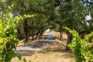 Single Family Residence,  Chalk Hill road, Healdsburg, CA 95448 - 4