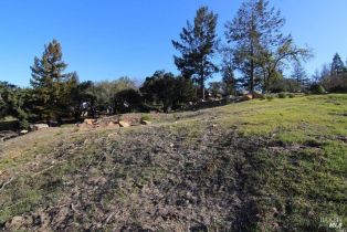 Residential Lot,  Clear ridge, Santa Rosa, CA 95404 - 5