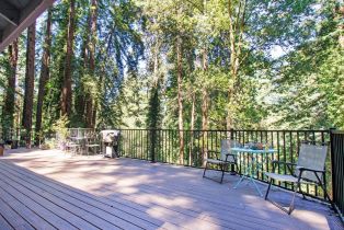 Single Family Residence,  Old Monte Rio road, Russian River, CA 95446 - 8