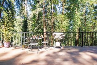 Single Family Residence,  Old Monte Rio road, Russian River, CA 95446 - 9