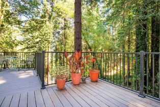 Single Family Residence,  Old Monte Rio road, Russian River, CA 95446 - 7