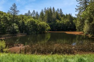 Single Family Residence, 3948 Wallace Creek road, Healdsburg, CA 95448 - 40