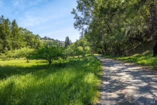 Single Family Residence, 3948 Wallace Creek road, Healdsburg, CA 95448 - 81