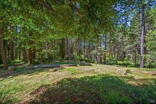 Single Family Residence,  Timber Ridge road, Sea Ranch, CA 95497 - 25