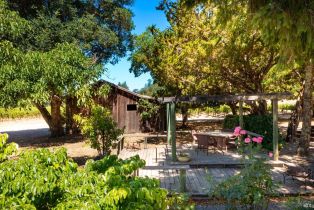 Single Family Residence,  Dry Creek road, Healdsburg, CA 95448 - 27