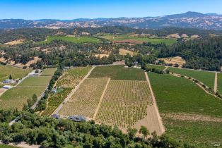 Single Family Residence,  Dry Creek road, Healdsburg, CA 95448 - 51