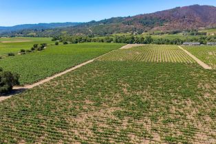 Single Family Residence,  Dry Creek road, Healdsburg, CA 95448 - 45