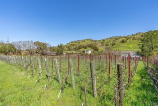 Residential Acreage,  Silverado trail, Napa, CA 94558 - 8