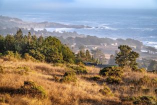 Single Family Residence,  Drovers Close none, Sea Ranch, CA 95497 - 2